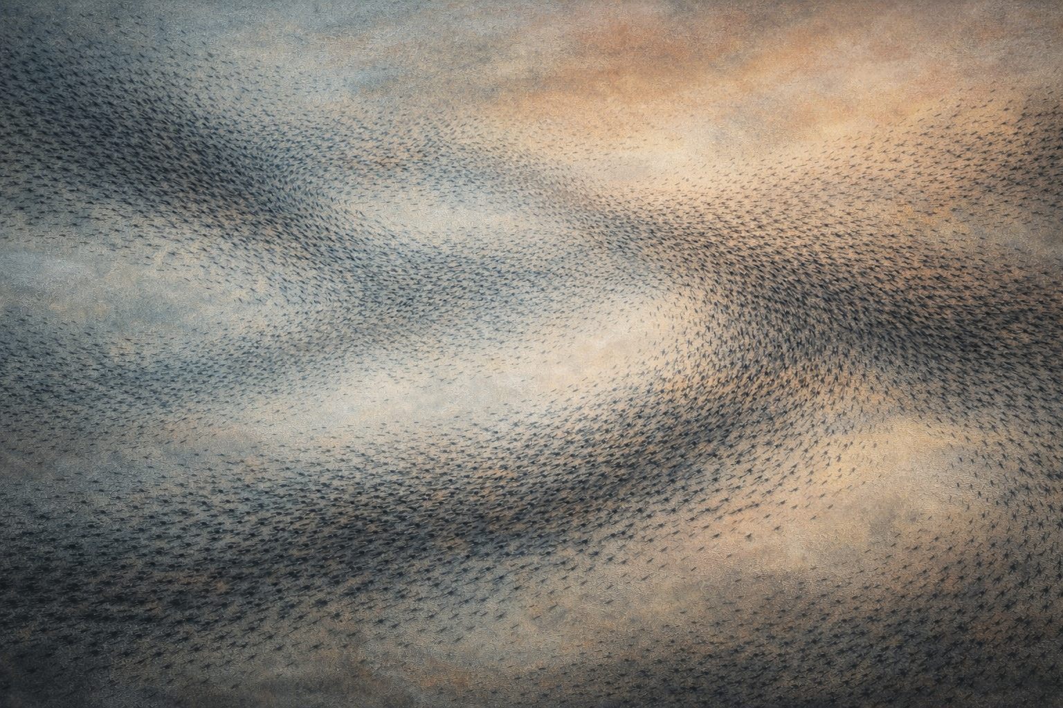 Abstract swarming field used as a visual input reference.